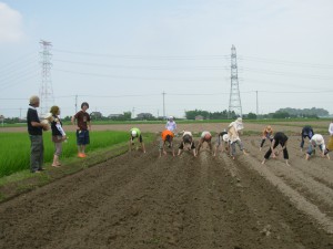 DSCN0977