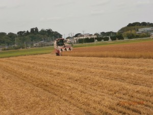 P6050013512